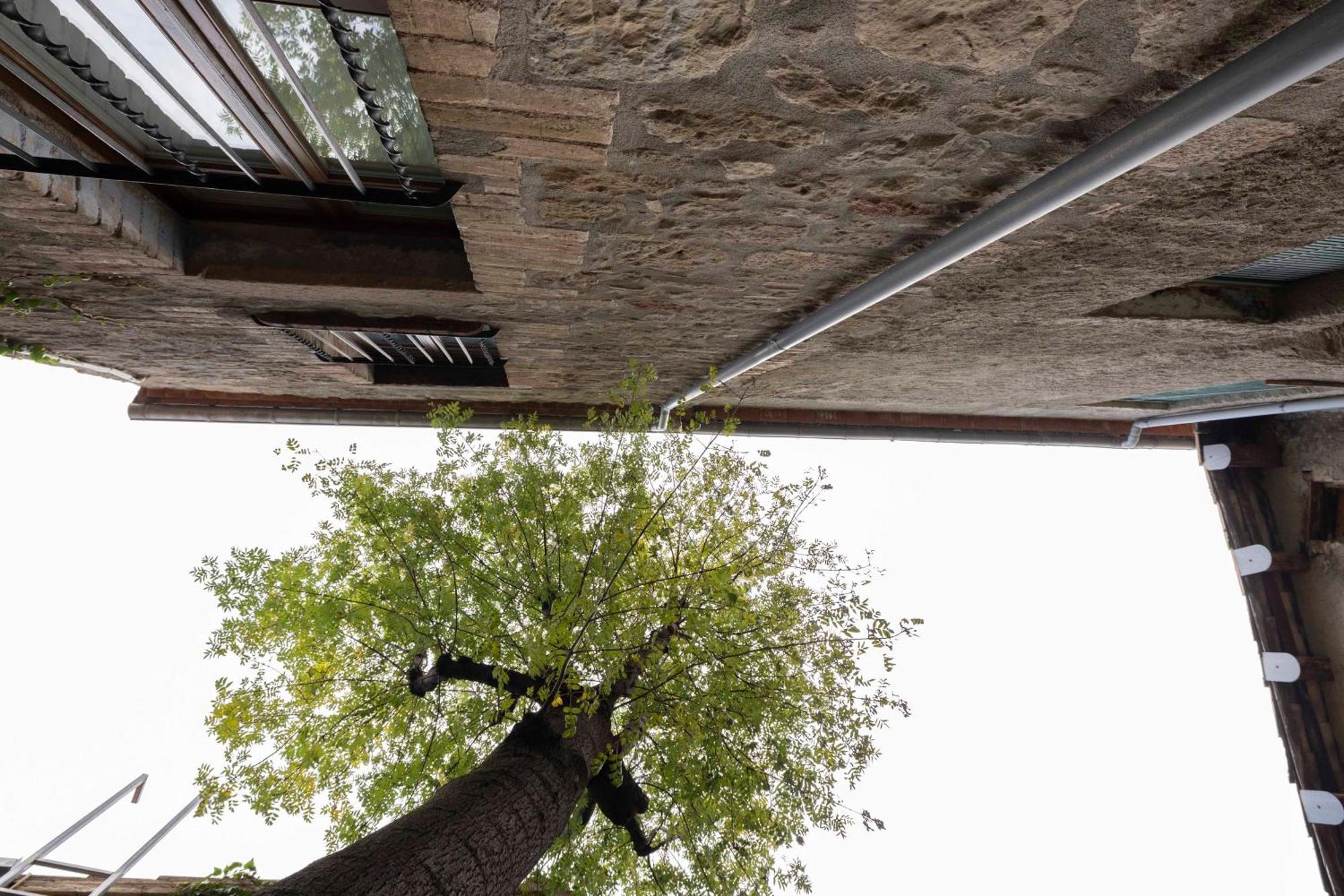Hotel La Freixera Solsona Exteriér fotografie